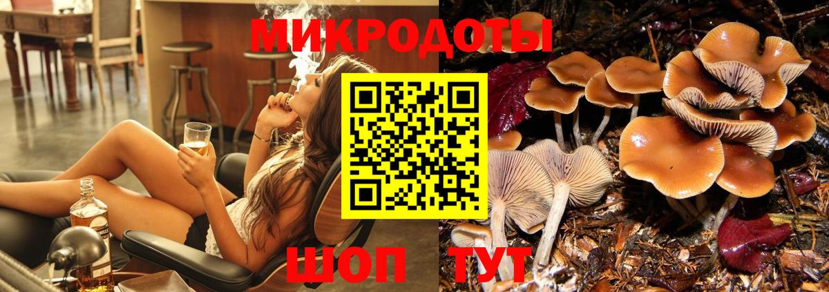 Псилоцибиновые грибы Psilocybine cubensis Черняховск